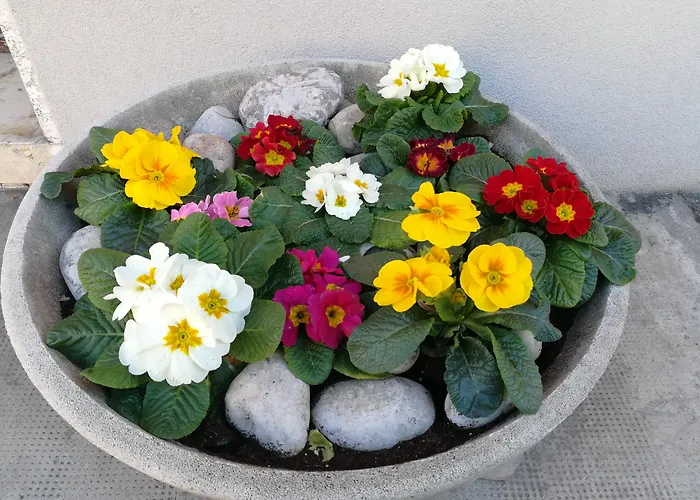 招待所 威尼斯花园洋房 马格拉